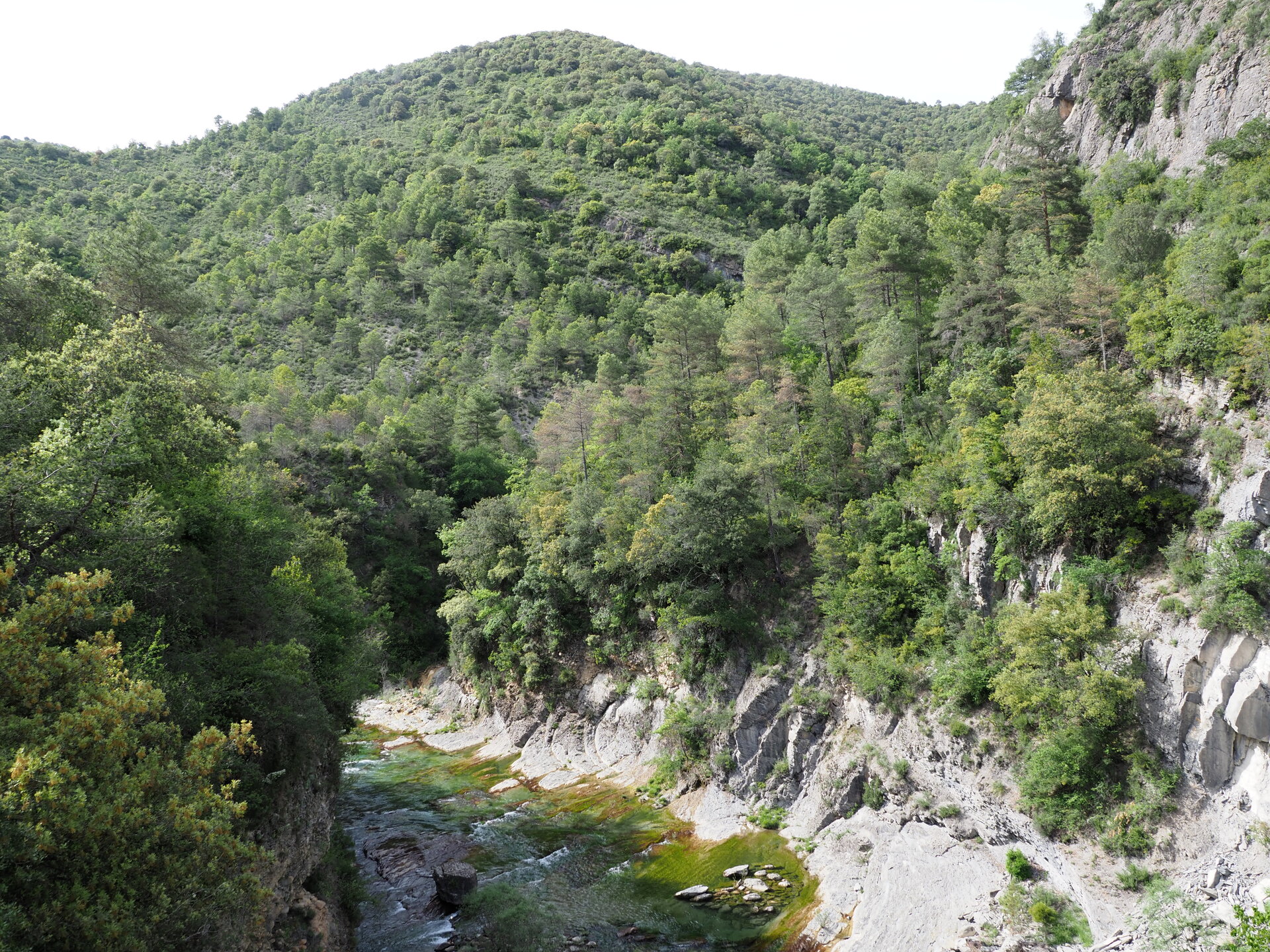 Canyon d'Añisclo — Sobrarbe