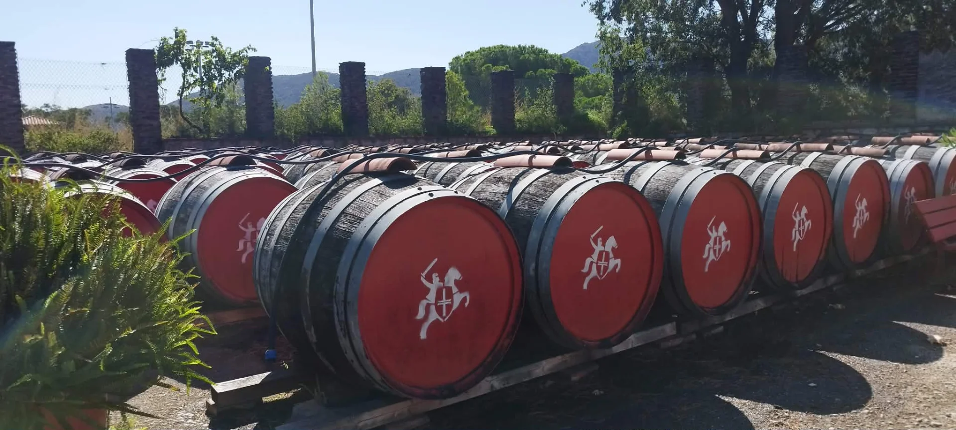 cave vin banyuls