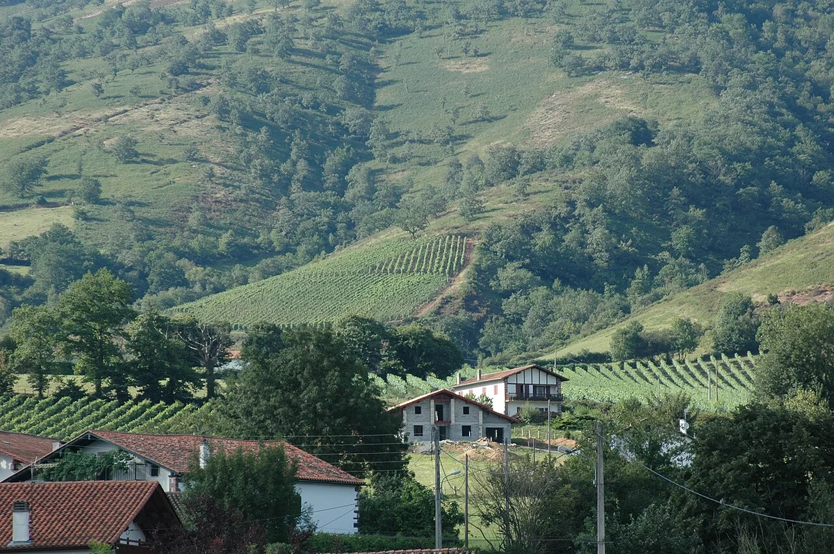 Vignoble d'Irouléguy, seule appellation viticole du Pays Basque français